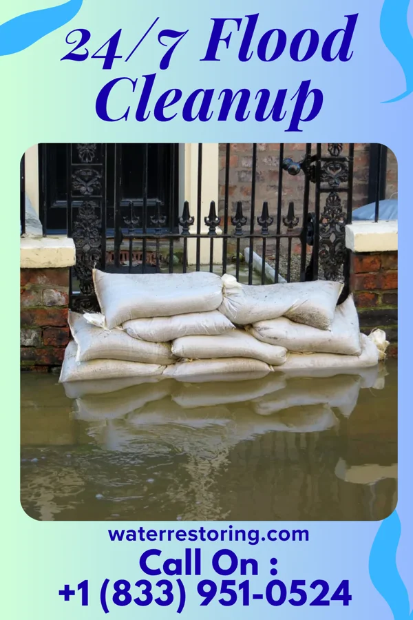 24/7 Flood Cleanup in Carbonado, WA