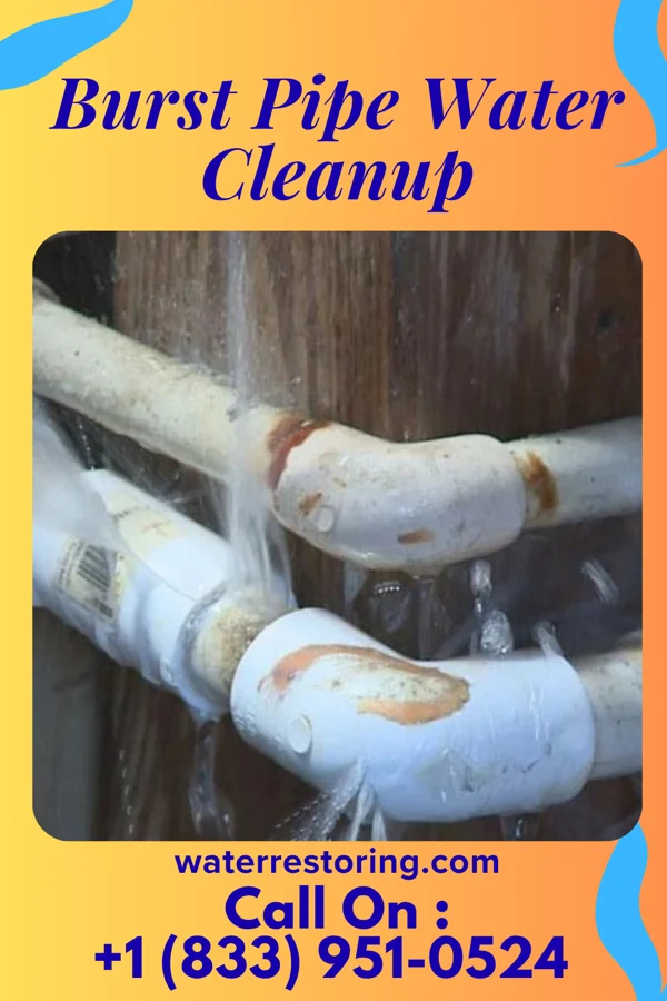 Burst Pipe Water Cleanup in Carbonado, WA