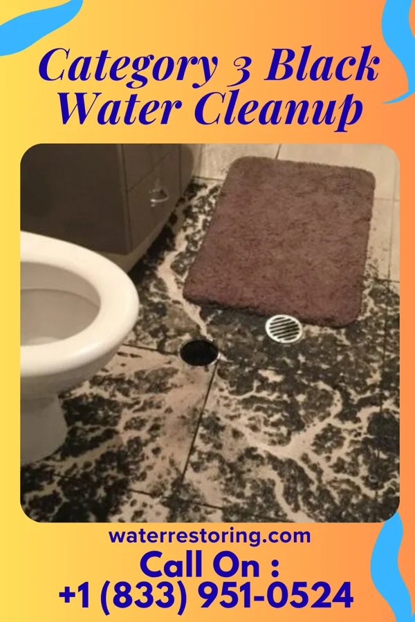 Category 3 Black Water Cleanup in Carbonado, WA