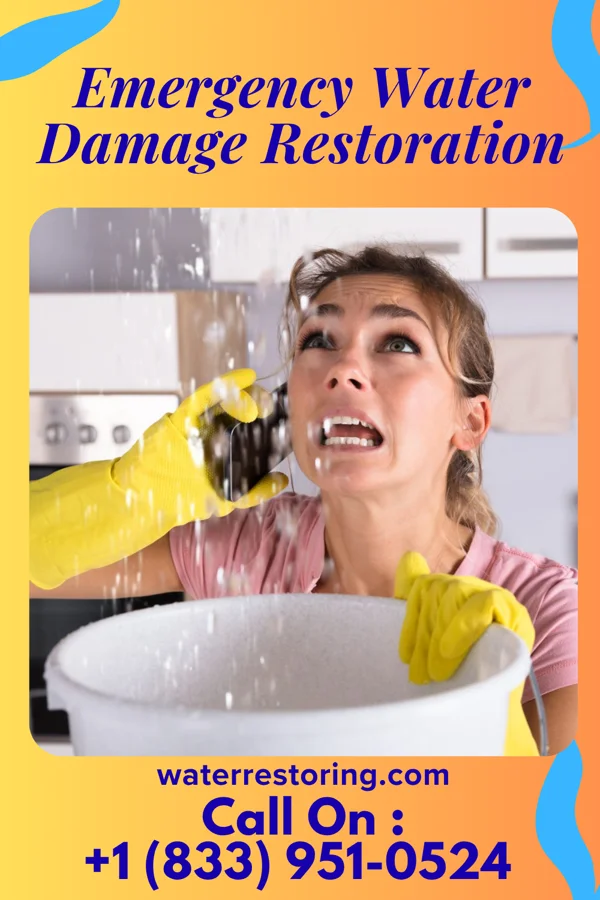Emergency Water Damage Restoration in Carbonado, WA
