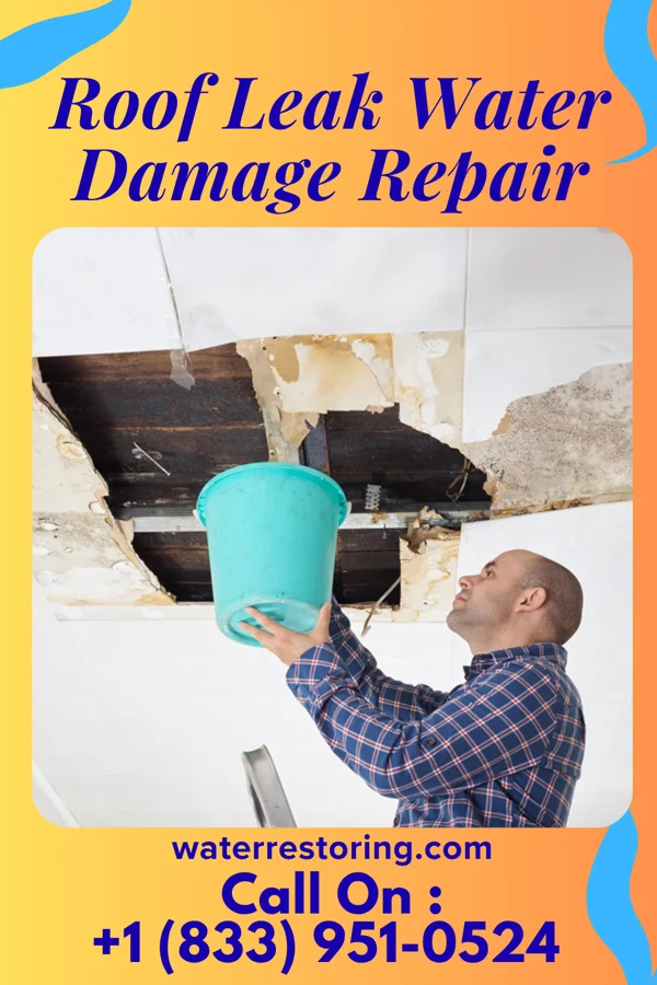 Roof Leak Water Damage Repair in Carbonado, WA