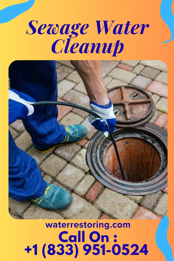 Sewage Water Cleanup in Carbonado, WA